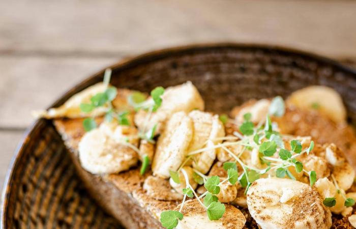 «فيفا
      لافيدا»...
      المطبخ
      اللاتيني
      في
      قلب
      القاهرة