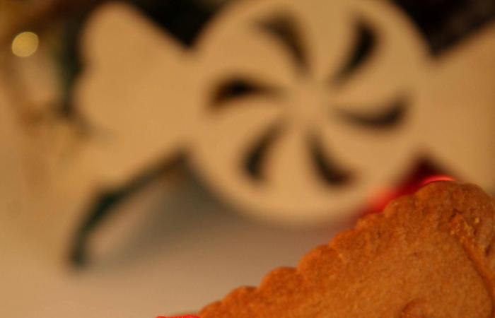 «فيفا
      لافيدا»...
      المطبخ
      اللاتيني
      في
      قلب
      القاهرة