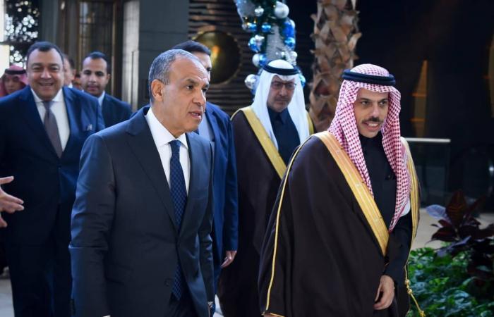 السعودية
      ومصر
      تؤكدان
      أهمية
      خفض
      التصعيد
      بالمنطقة