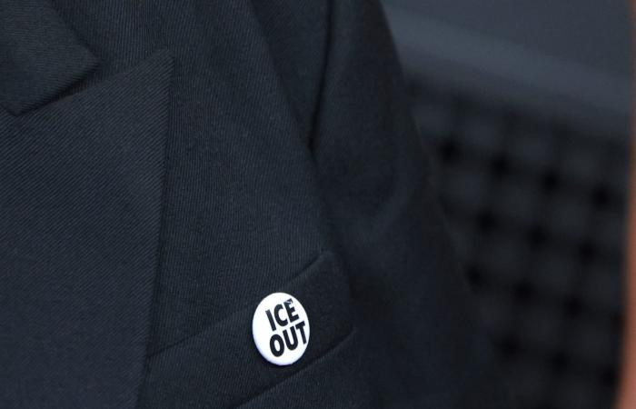 تشابل روان تثير ضجة بفستان يتدلى من الصدر على السجادة الحمراء لحفل جوائز غرامي