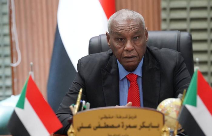 الشرطة
      السودانية
      تزيل
      72
      بؤرة
      عشوائية
      في
      الخرطوم