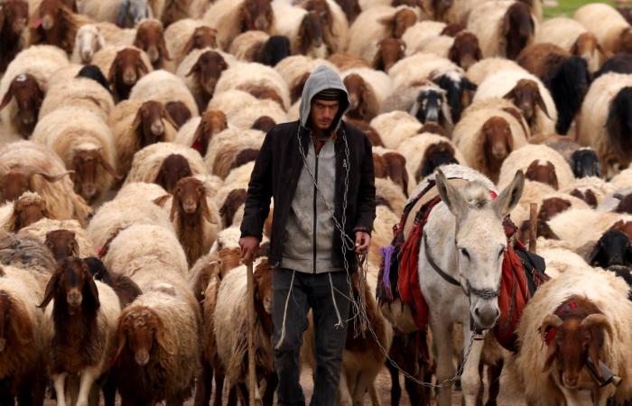 «التيار
      الثالث»...
      مبادرة
      إنقاذ
      مدنية
      للخروج
      من
      «حالة
      الاستعصاء»
      في
      السويداء