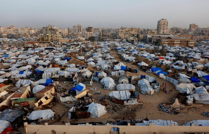 ريم الهاشمي ترد على مزاعم تولي الإمارات الإدارة المدنية في غزة