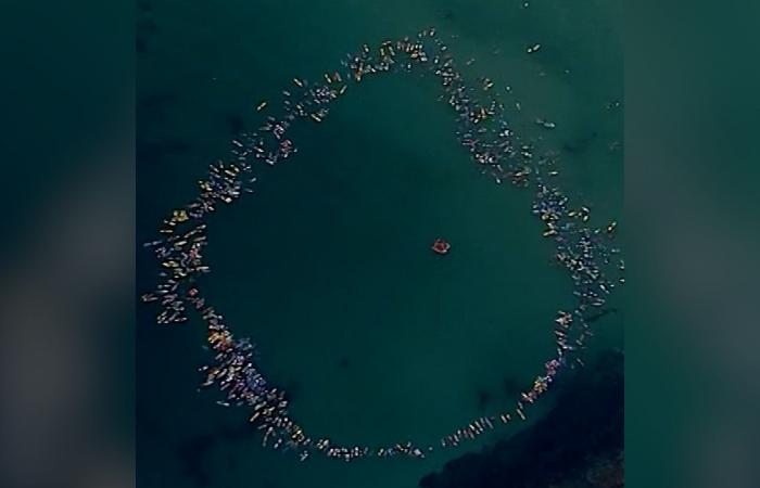 أستراليا.. مئات المجدفين يكرمون طفلًا وقع ضحية هجوم سمكة "قرش الثور"