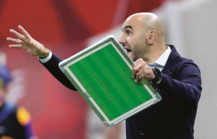 كأس أمم أفريقيا| وليد الركراكي: ما فعلناه تاريخي.. لكننا لم نحقق شيئاً حتى الآن