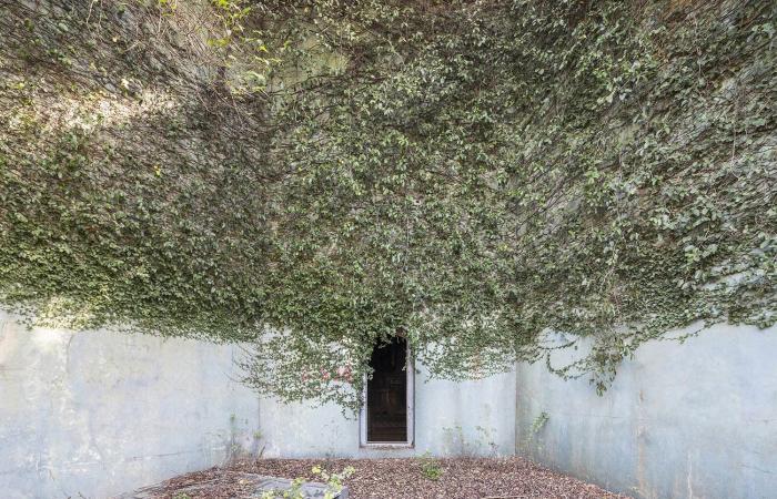 مصور يوثق مشاهد مهيبة لمواقع مهجورة تستولي عليها الطبيعة