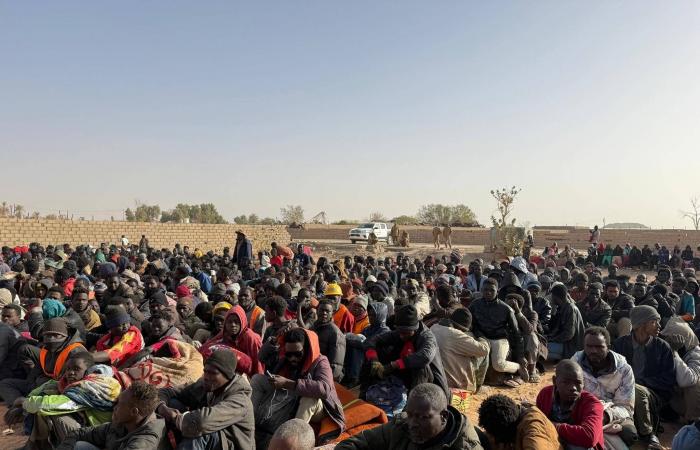 «تطهير»
      وهدم
      مساكن...
      حملة
      أمنية
      استهدفت
      «مهاجرين
      مخالفين»
      بسبها
      الليبية