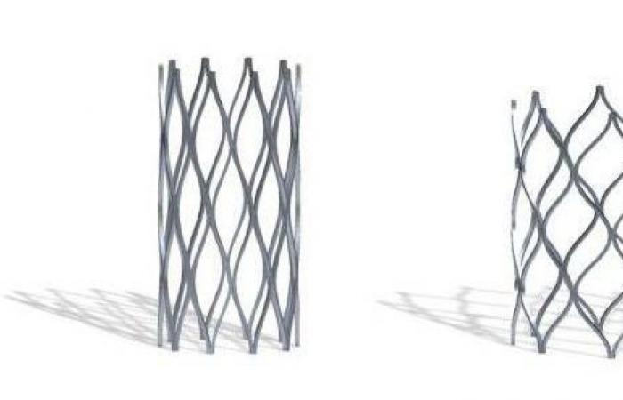 الأولى
      من
      نوعها…
      دعامة
      قلبية
      للرضع
      والأطفال