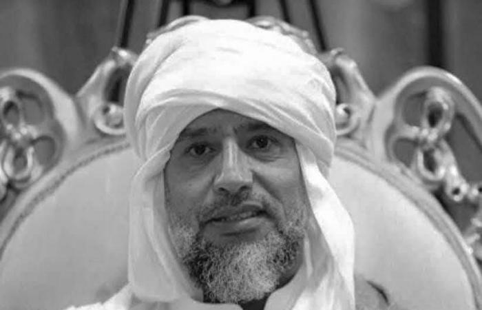 الجيش
      السوداني
      يفك
      حصار
      عاصمة
      جنوب
      كردفان