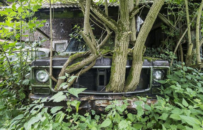 مصور يوثق مشاهد مهيبة لمواقع مهجورة تستولي عليها الطبيعة