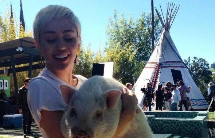 5
      علامات
      تدل
      على
      أنك
      مصاب
      بالغرور…
      اكتشفها