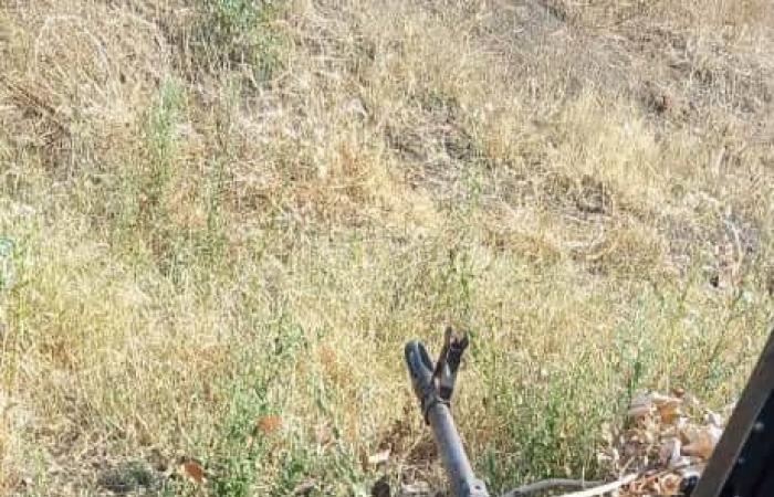 الجيش
      السوداني
      يتعهد
      بالقتال
      حتى
      «تطهير»
      البلاد
      بأكملها