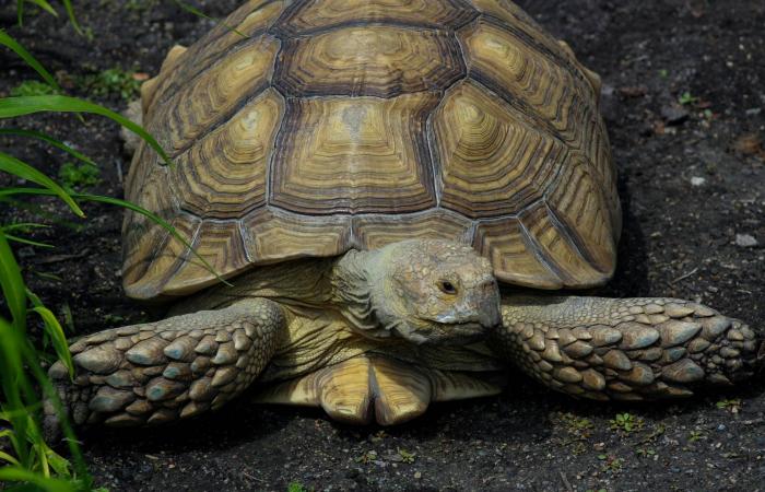 5
      علامات
      تدل
      على
      أنك
      مصاب
      بالغرور…
      اكتشفها