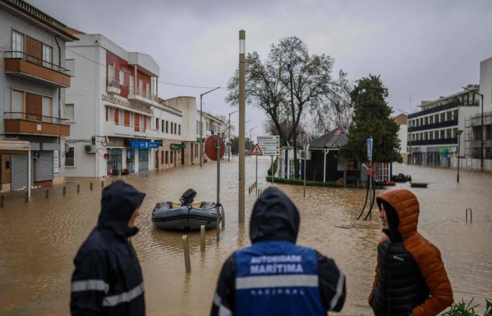 كنيسة
      في
      روما
      تزيل
      وجه
      ملاك
      يشبه
      رئيسة
      وزراء
      إيطاليا