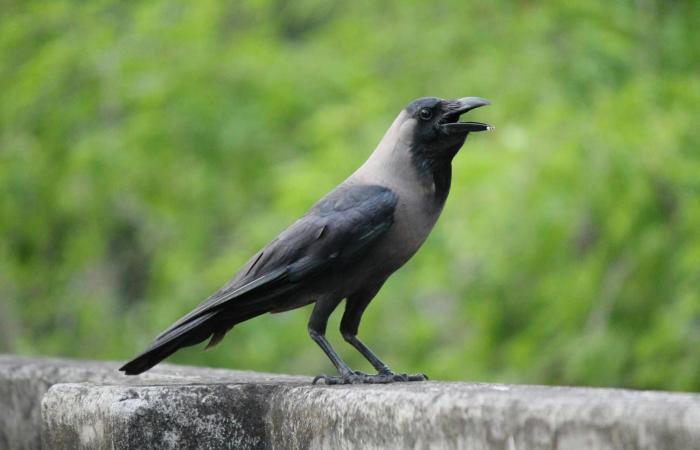 5
      علامات
      تدل
      على
      أنك
      مصاب
      بالغرور…
      اكتشفها