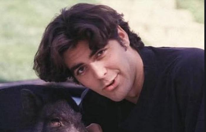 5
      علامات
      تدل
      على
      أنك
      مصاب
      بالغرور…
      اكتشفها