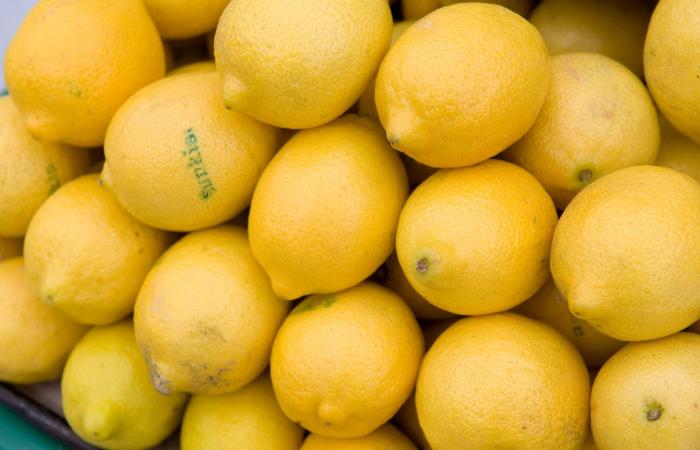 ماذا
      يحدث
      لضغط
      دمك
      عند
      شرب
      ماء
      الليمون
      بانتظام؟