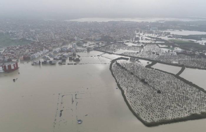 تطابق
      الحمض
      النووي
      لتوأمين
      يعقّد
      تحديد
      مرتكب
      جريمة
      قتل
      بفرنسا