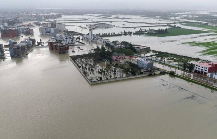 تطابق
      الحمض
      النووي
      لتوأمين
      يعقّد
      تحديد
      مرتكب
      جريمة
      قتل
      بفرنسا