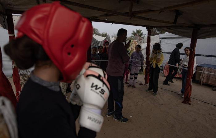 لتضميد
      جراح
      الحرب...
      فتيات
      يتدربن
      على
      الملاكمة
      في
      غزة
      (صور)