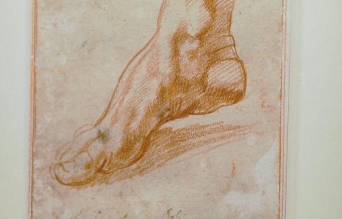 طولها 5 بوصات فقط.. مسودّة رسمها مايكل أنجلو تحقق 27 مليون دولار في مزاد