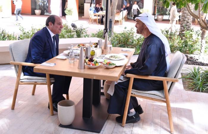 قرقاش يُعلّق على زيارة السيسي إلى الإمارات ويتحدث عما "تُجسّده"