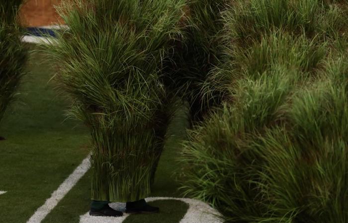 كواليس طريفة.. كيف يشعر المرء عندما يتظاهر بأنه "شجيرة" في عرض "سوبر بول"؟