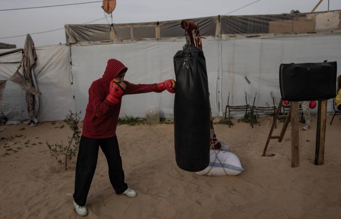 الأمم
      المتحدة:
      خطط
      إسرائيل
      في
      الضفة
      الغربية
      تسرِّع
      تجريد
      الفلسطينيين
      من
      حقوقهم