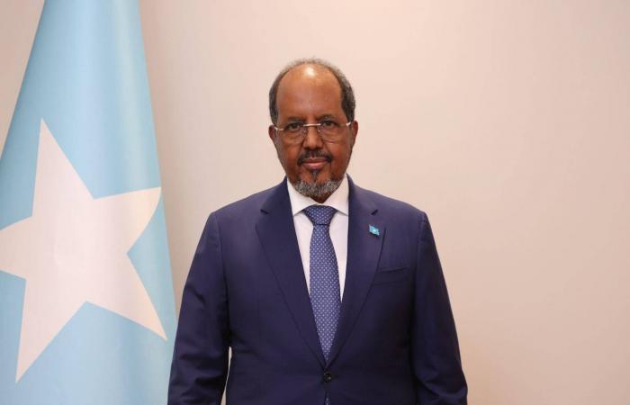 رئيس
      الصومال:
      ساعون
      مع
      شركائنا
      بقيادة
      السعودية
      لإبطال
      الاعتراف
      الإسرائيلي
      بـ«أرض
      الصومال»