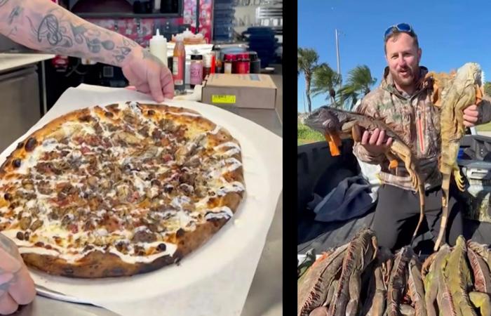 بيتزا سحلية الإغوانا تحقق رواجًا كبيرًا وتجذب الملايين إلى مطعم أمريكي