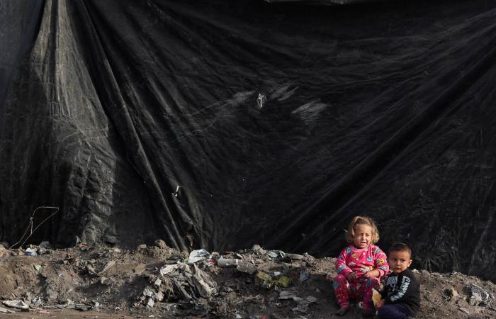 لازاريني
      لـ«الشرق
      الأوسط»:
      تجاهل
      مليوني
      شخص
      في
      غزة
      يزرع
      أجيال
      غضب
      جديدة