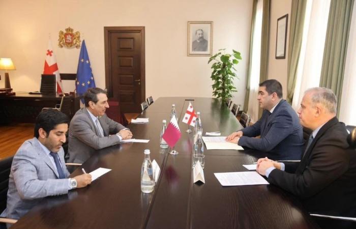 رئيس برلمان جورجيا يجتمع مع سفير دولة قطر