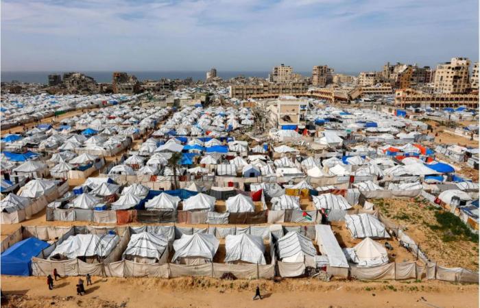 «الجيش
      الوطني»
      الليبي
      يدعو
      إلى
      التصدي
      لـ«التنظيمات
      الإرهابية
      العابرة
      للحدود»