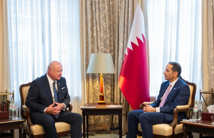 رئيس الوزراء وزير الخارجية يجتمع مع المستشار الاتحادي للنمسا