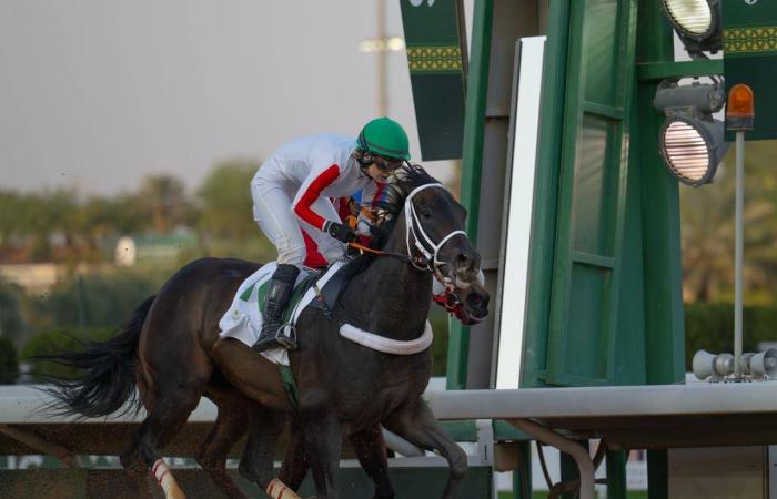 كأس
      السعودية...
      من
      يظفر
      بجائزة
      الشوط
      الأغلى
      «عالمياً»؟