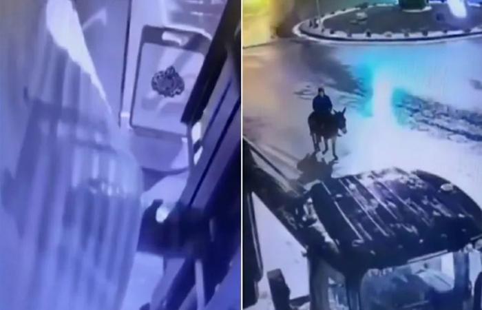 سرق محل مجوهرات بـ "رافعة" وهرب على ظهر حمار.. أغرب عمليات السرقة في تركيا