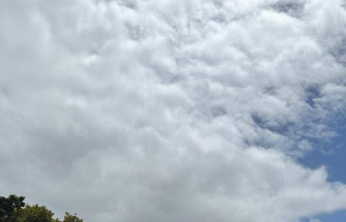 «صناعة
      الدواء»...
      مدخل
      لتعزيز
      الحضور
      الطبي
      المصري
      في
      أفريقيا