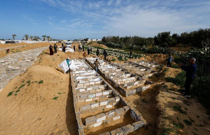 رئيس
      مفوضية
      الاتحاد
      الأفريقي:
      يجب
      «وقف
      إبادة»
      الشعب
      الفلسطيني