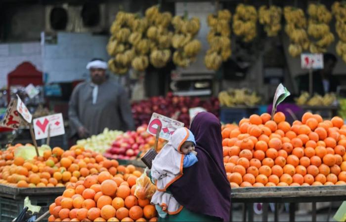 الحكومة
      المصرية
      تطبّق
      حزمة
      حماية
      اجتماعية
      جديدة
      للفئات
      «الأقل
      دخلاً»