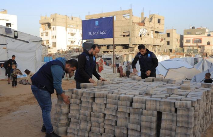 الأردن.. "تكية أم علي" تطلق استجابة إنسانية شاملة في غزة تتضمن تشييد 1000 خيمة إيواء