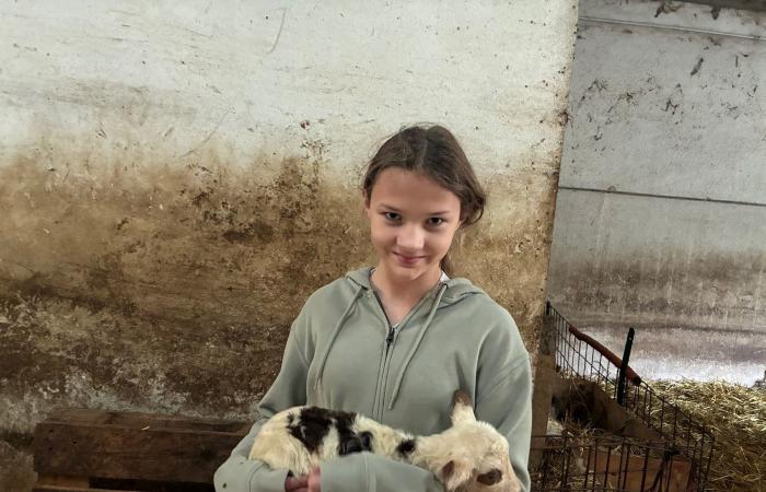 أمريكي يستعيد جنسيته الإيطالية بحق الدم ويشتري منزلًا بمليون دولار