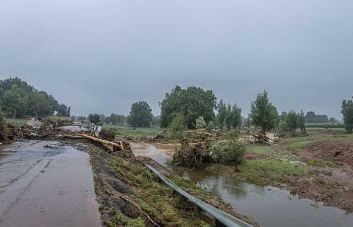 عاصفة شديدة في نيوزيلندا تعطل الرحلات الجوية وتقطع الكهرباء عن الآلاف
