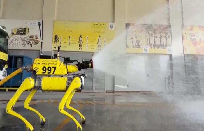 لتعزيز استخدام الأتمتة في خدمات الطوارئ.. دبي تُعزز استخدام الروبوتات في الأماكن العامة