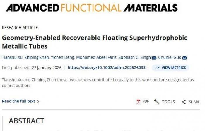 قوارب
      شراعية
      آلية
      تعمل
      كشبكة
      مراقبة
      بحرية