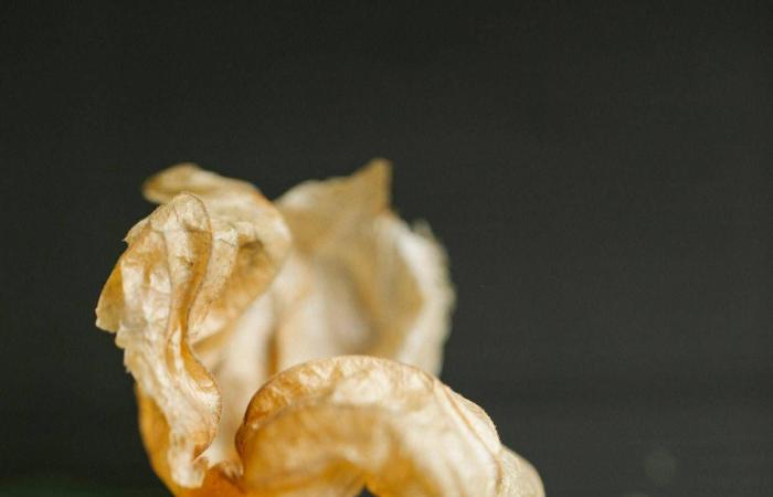 هل
      يضرّ
      الاستخدام
      اليومي
      لرقائق
      الألومنيوم
      بصحتك؟