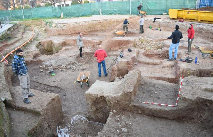 اكتشاف عظمة فيل قد يؤكد استعانة حنبعل بالفيلة في حروبه ضد الرومان