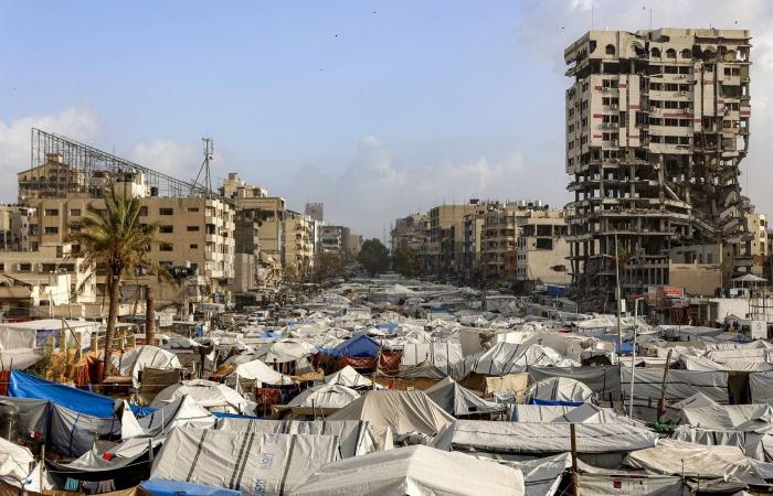 «المرحلة
      الثانية»
      من
      «اتفاق
      غزة»
      تنشد
      «انتقالاً
      منضبطاً»
      لتجاوز
      التعثر