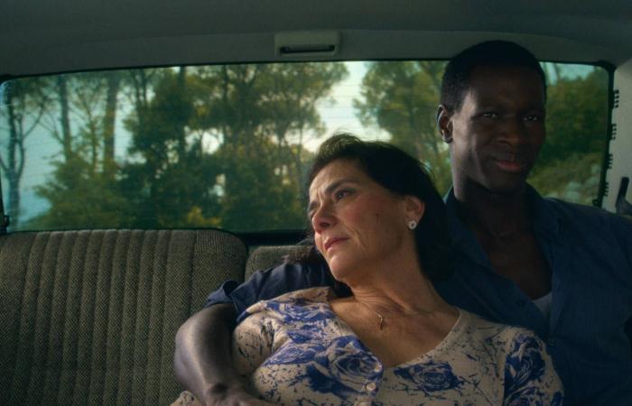 دانيال
      عربيد:
      «لمن
      يجرؤ»
      رحلة
      تأمل
      في
      العنصرية
      والخوف
      من
      الآخر