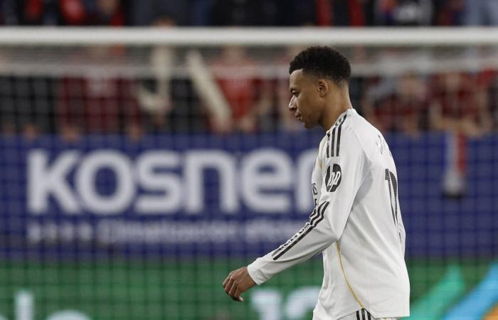 الخليفي:
      دورة
      قطر
      نجحت
      بشكل
      استثنائي...
      وألكاراس
      «الأفضل
      عالمياً»