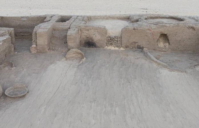 مصر:
      اكتشاف
      مدينة
      سكنية
      بموقع
      «شيخ
      العرب
      همام»
      بقنا